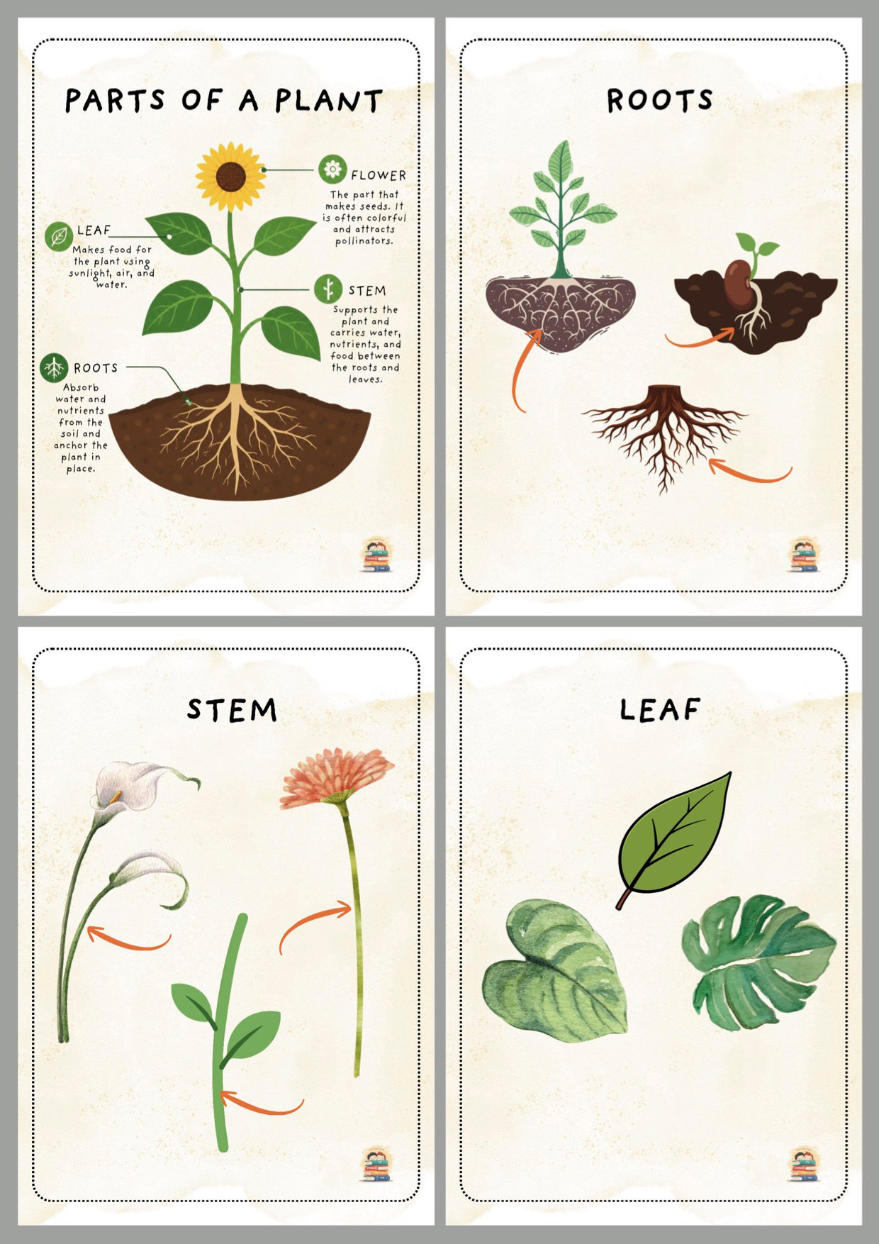 Printable Parts of a Plant flashcards featuring roots, stem, leaves, flower, fruit, and seeds for preschool, kindergarten, and early science learning.