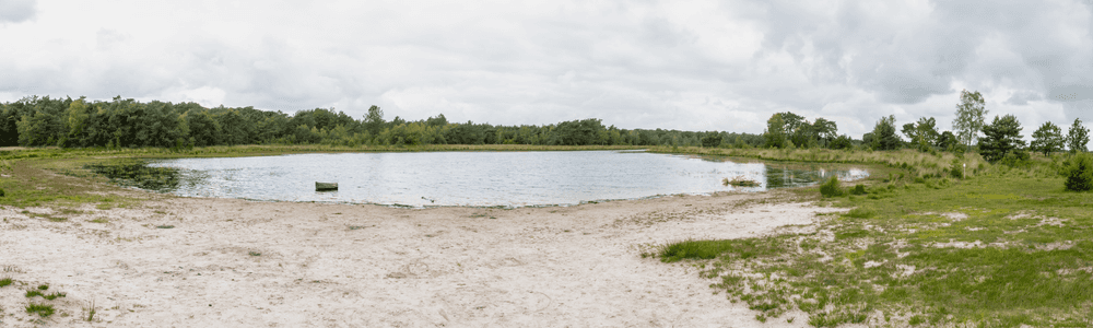 Panoramisch uitzicht op het ven de Putse Moer in natuurgebied Grenspark Kalmthoutse Heide met zandgronden en bewolkte lucht.