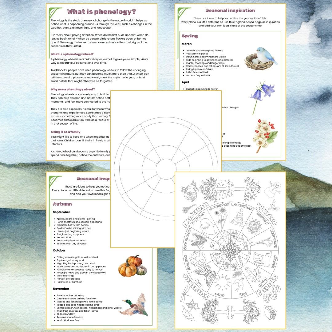 phenology wheel templates
