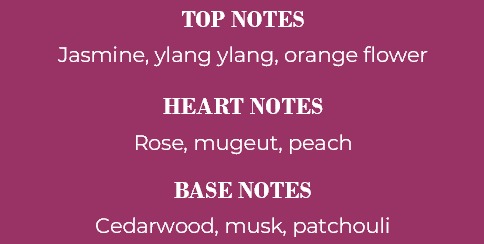 Windsor Great Bloom Scent Notes, Floral, Woody, Airbnb signature scent, luxury home fragrance, calm welcoming aroma