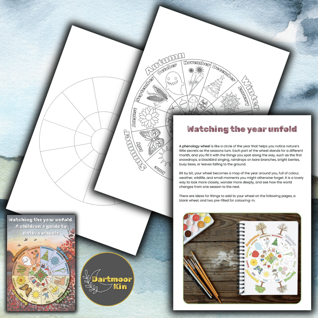 A children’s phenology and nature wheels printable with seasonal spotting guides, observation pages, a blank wheel, and colouring pages for year-round nature study.