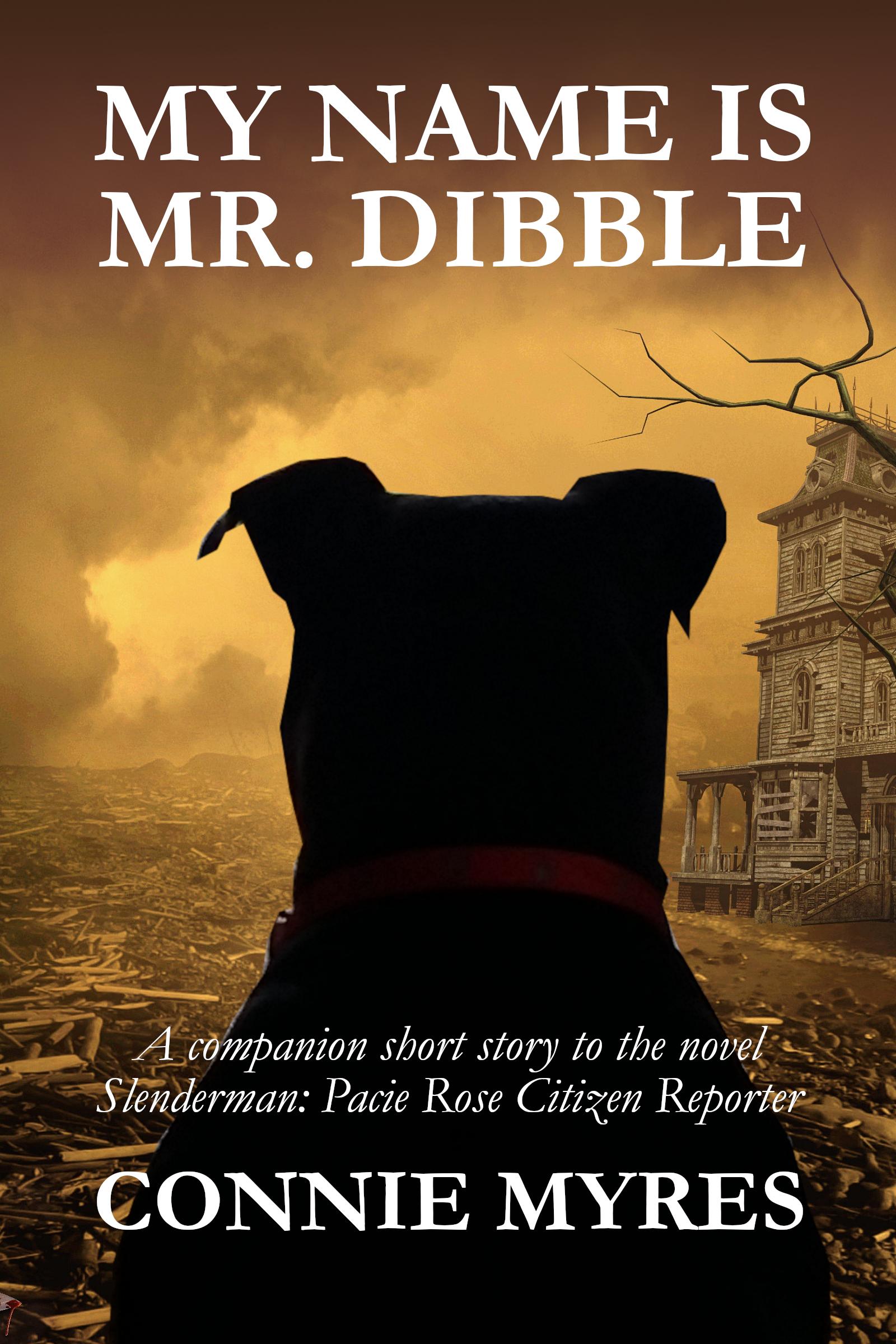 My Name Is Mr. Dibble cover My Name Is Mr. Dibble
