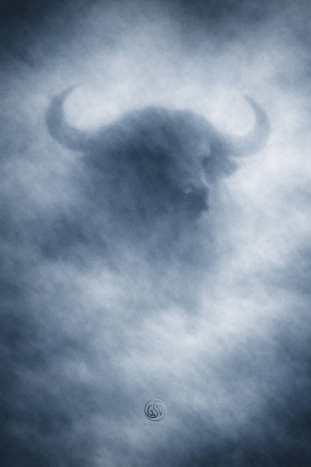 Close-up artistic portrait of a powerful Cape buffalo head, subtly materializing out of heavy, textured fog, with high contrast between the dark form and the mist.