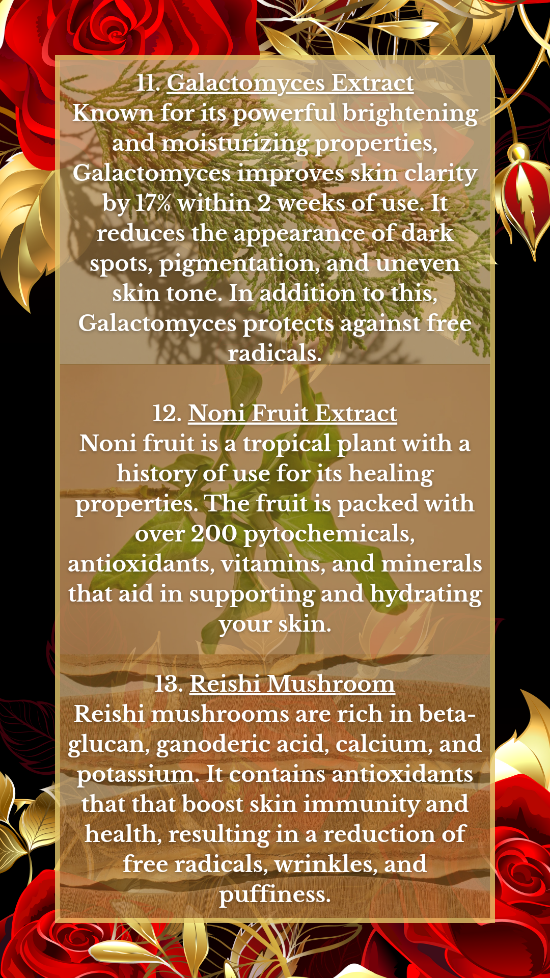 The third and last image describing what ingredients are in Mixsoon products.