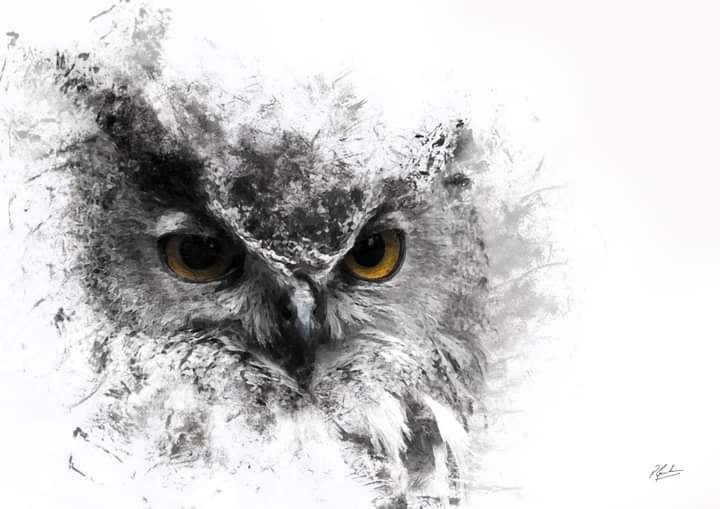 European Eagle Owl in ink