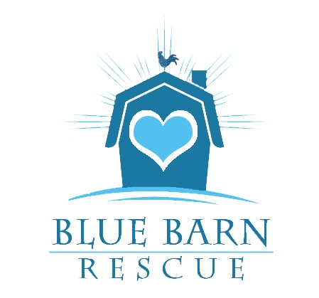 Blue Barn Rescue