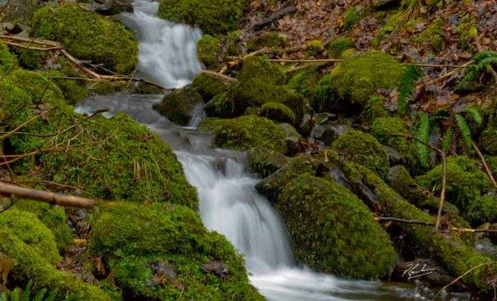 Killiecrankie Burn