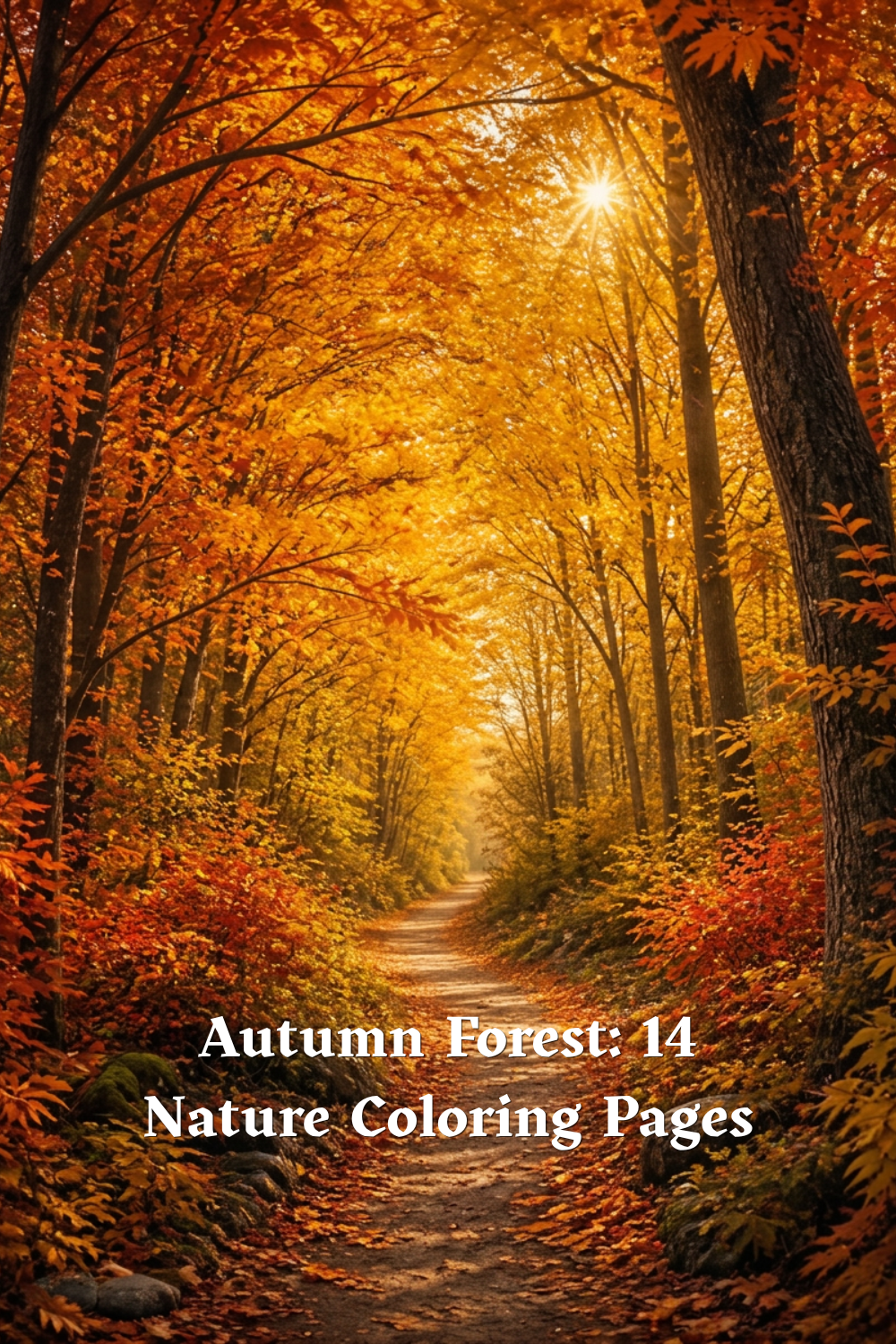 Colorful autumn forest path illustration with golden sunlight, cover for "Autumn Forest: 14 Nature Coloring Pages"