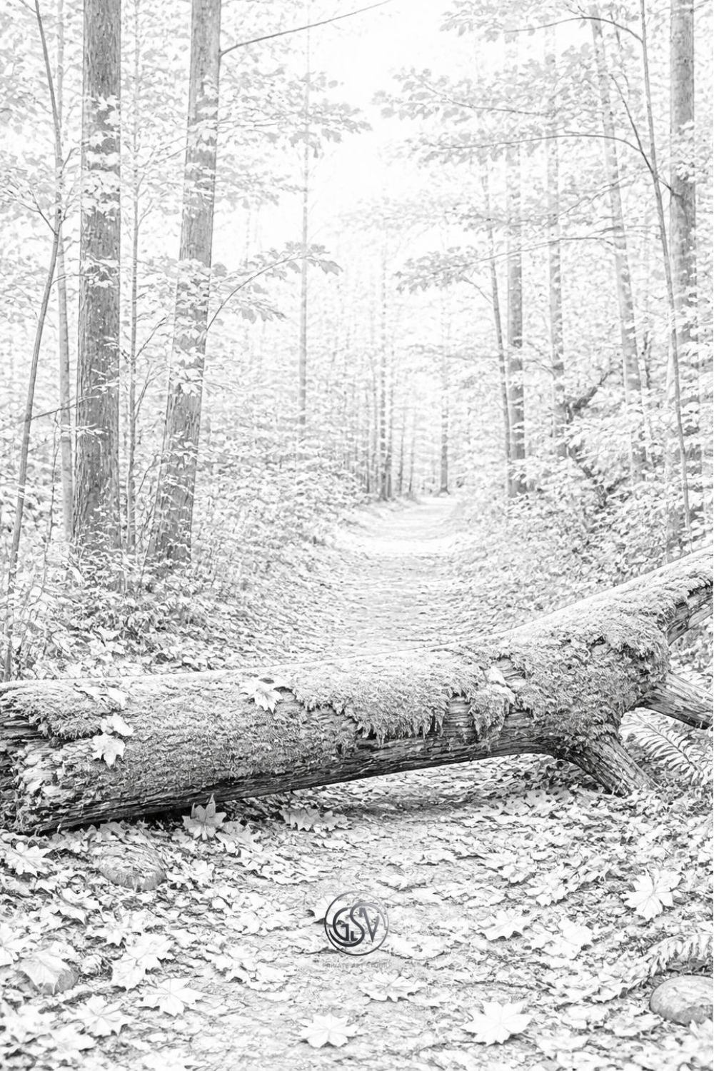 Grayscale coloring page of a moss-covered fallen log across a forest path, surrounded by autumn leaves