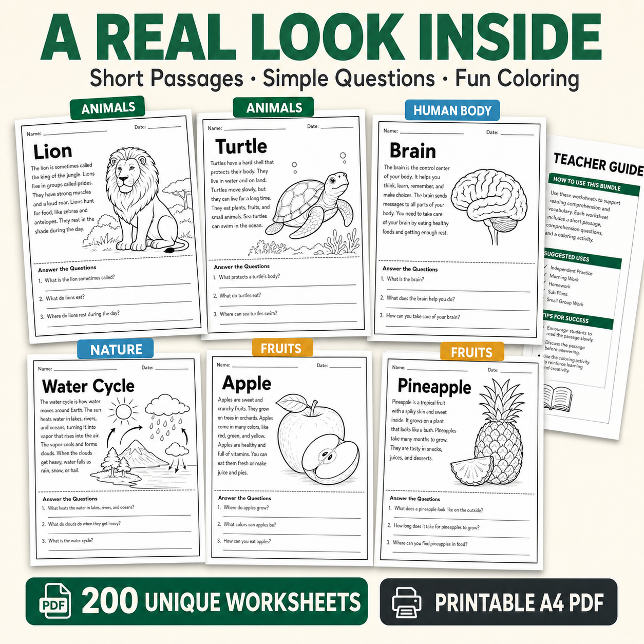 Read, Color & Discover – 200 Printable Learning Worksheets for Kids Ages 4–8
