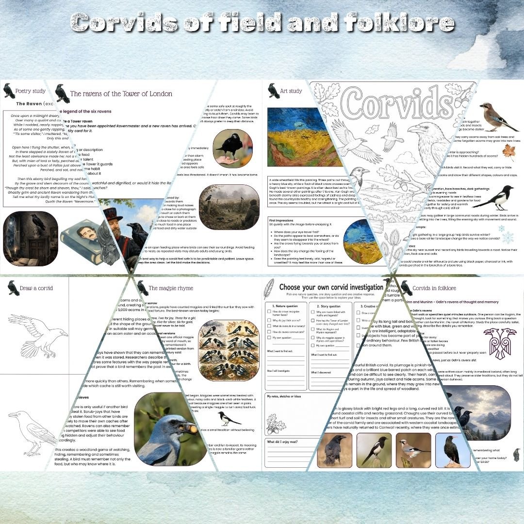Corvids of field and folklore | Printable nature study pack