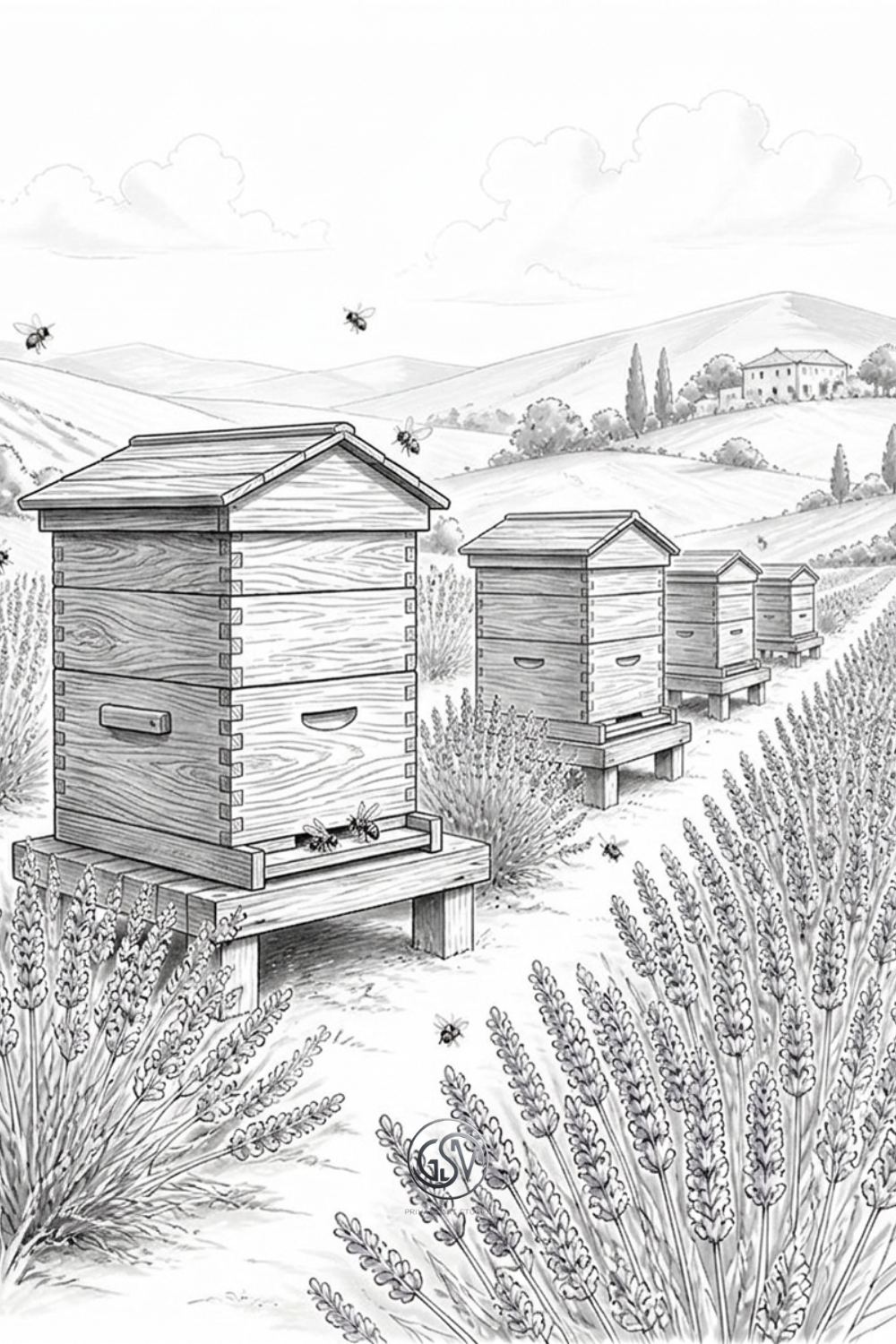 Grayscale coloring page of straw skep beehives standing in a blooming lavender field, from the Whispering Hives coloring collection.