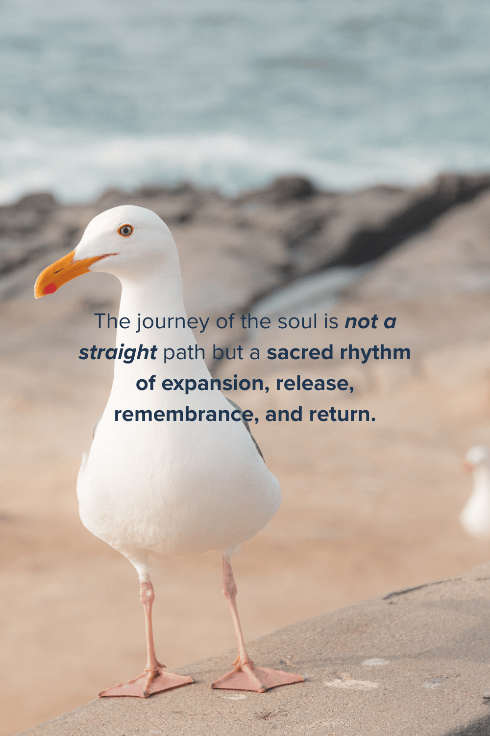 Spiritual awakening quote about remembering who you truly are, soul growth, healing, inner transformation, and returning to your authentic self.