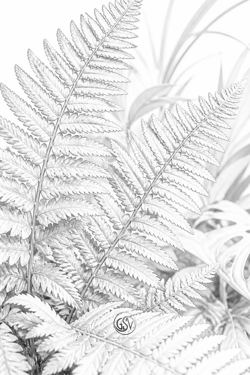 Grayscale coloring page of detailed tropical fern leaves close-up