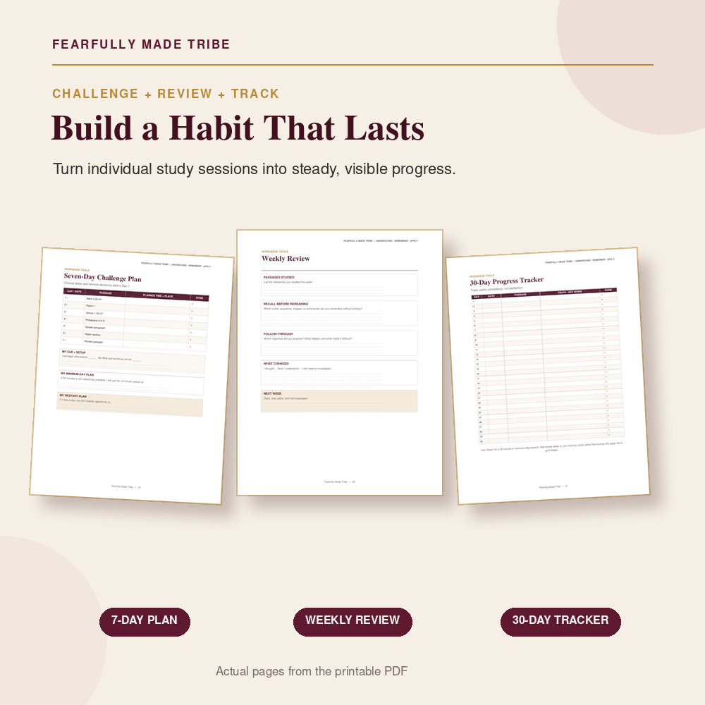 Bible study habit tracker for Christians who want to stay consistent in Scripture study