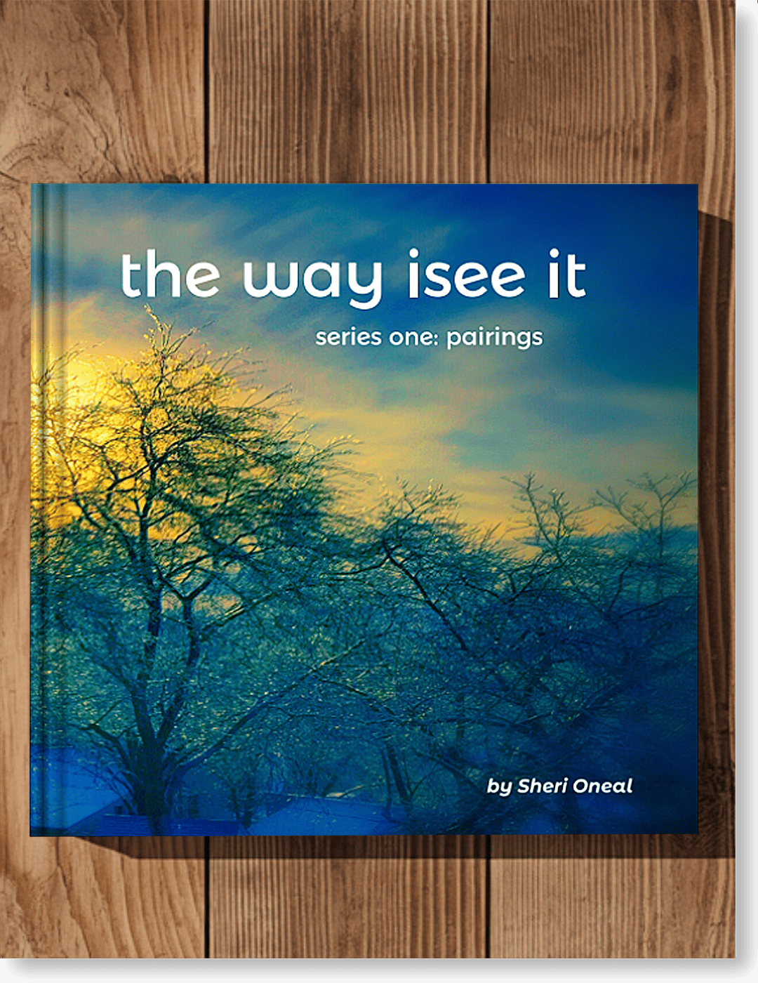 The way isee - series one: pairings book cover by photographer Sheri Oneal