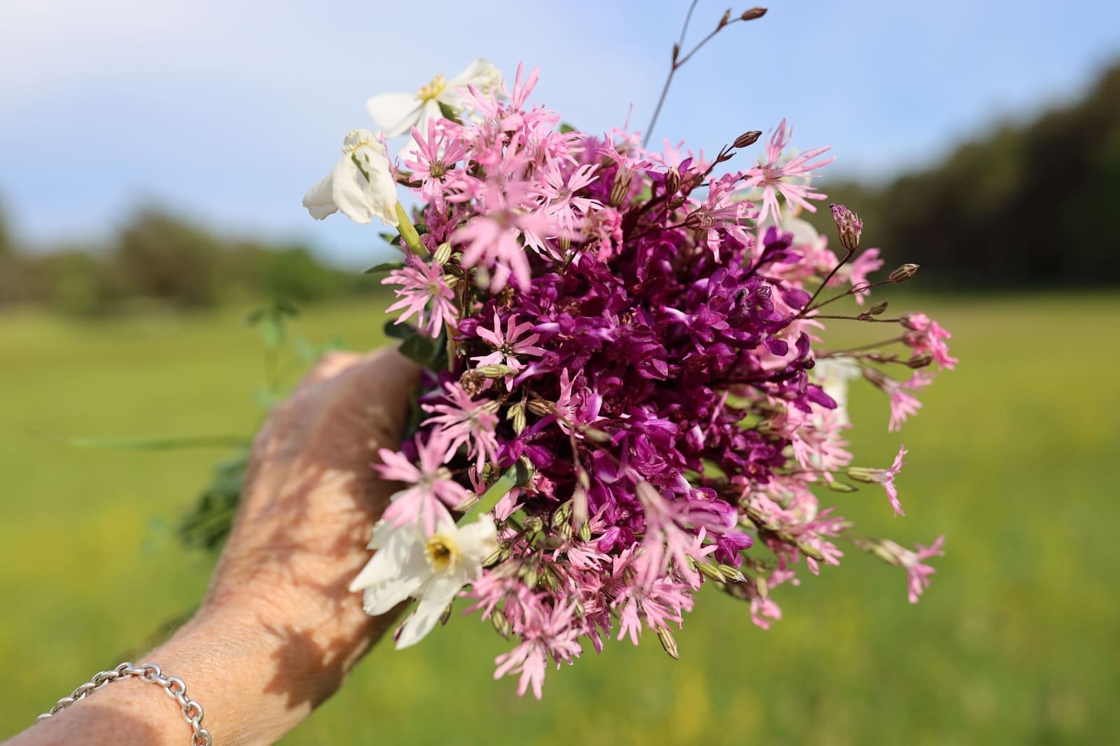 Bouquet de fleurs sauvages dans une prairie ensoleillée, bannière de la page Témoignages de Nature & Santé avec Patricia, santé naturelle et bien-être.