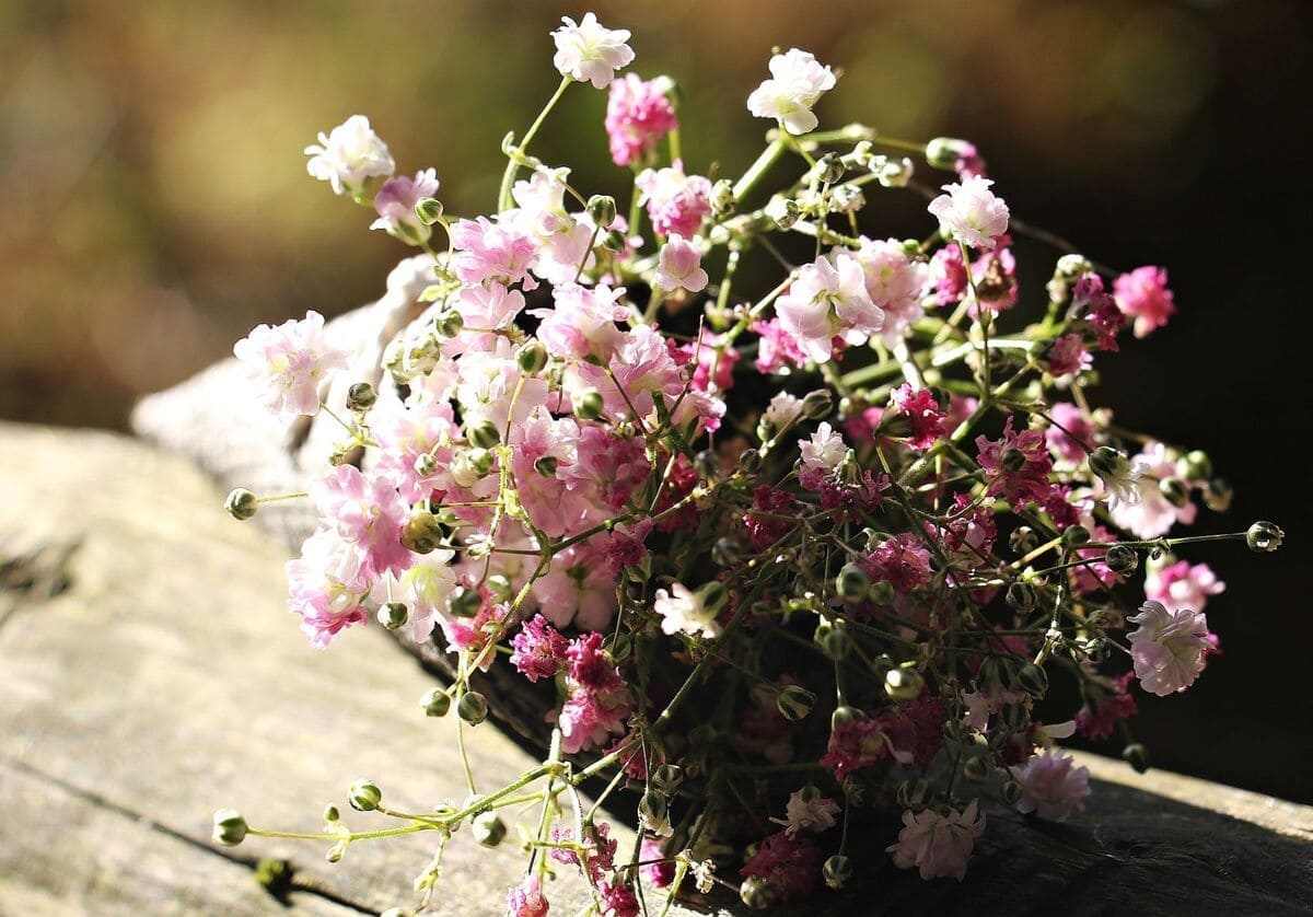 Joli bouquet de fleurs séchées pour illustrer un témoignage de Nature & Santé avec Patricia