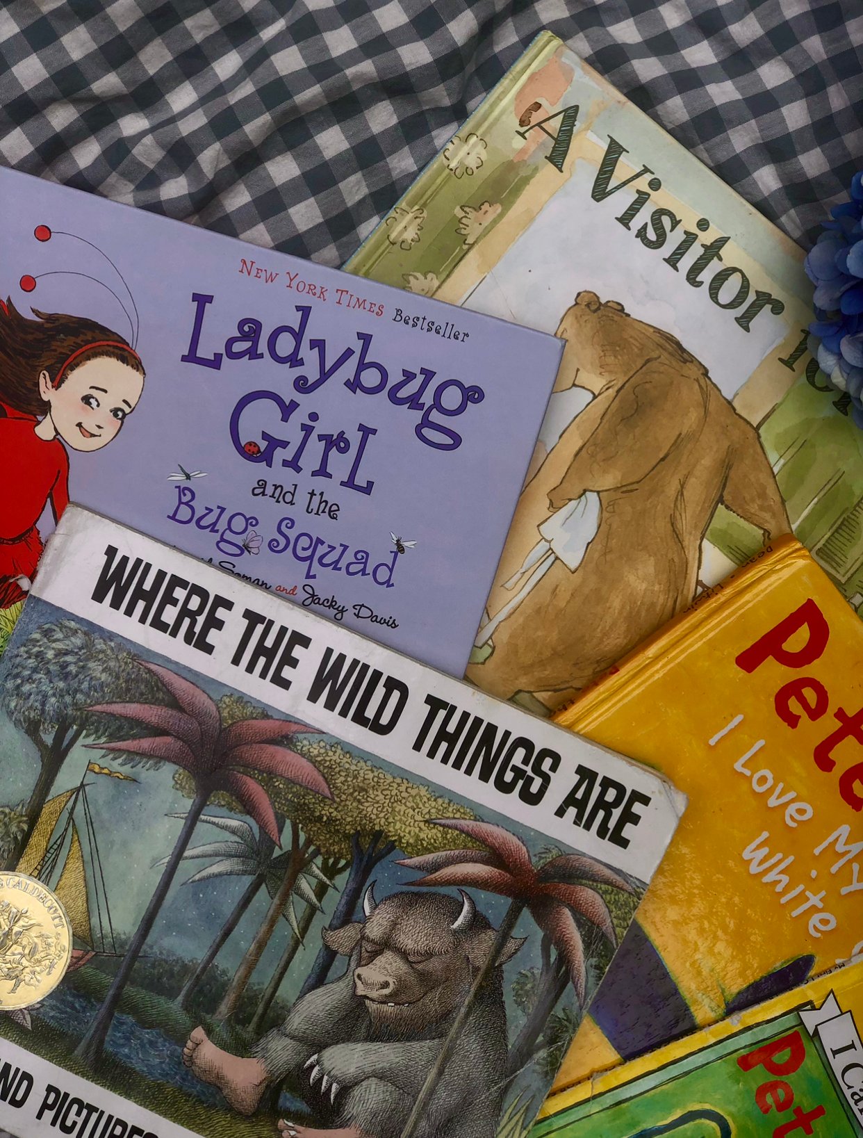 picture books for kindergarten and preschool