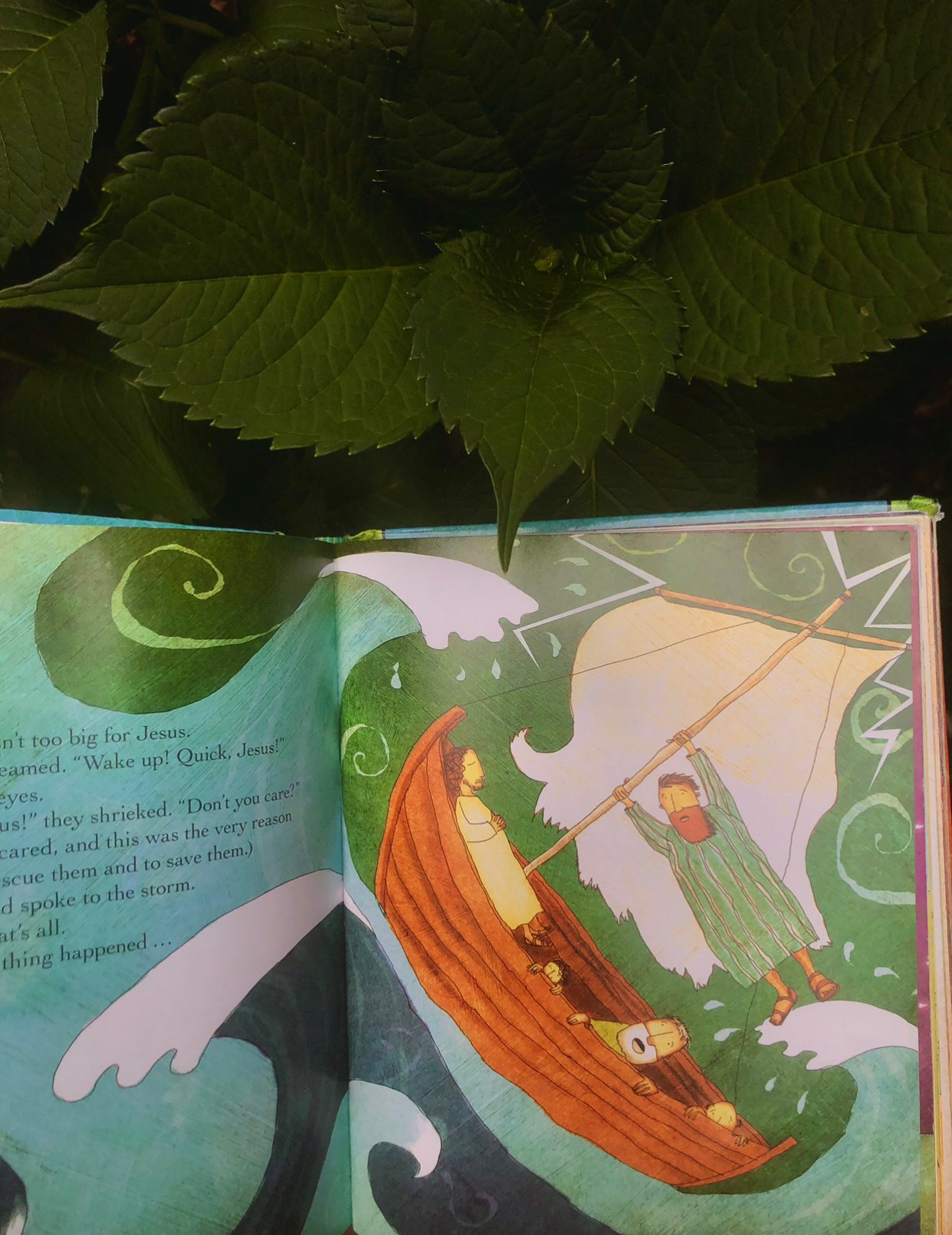 Jesus storybook Bible