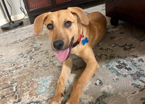 Theo