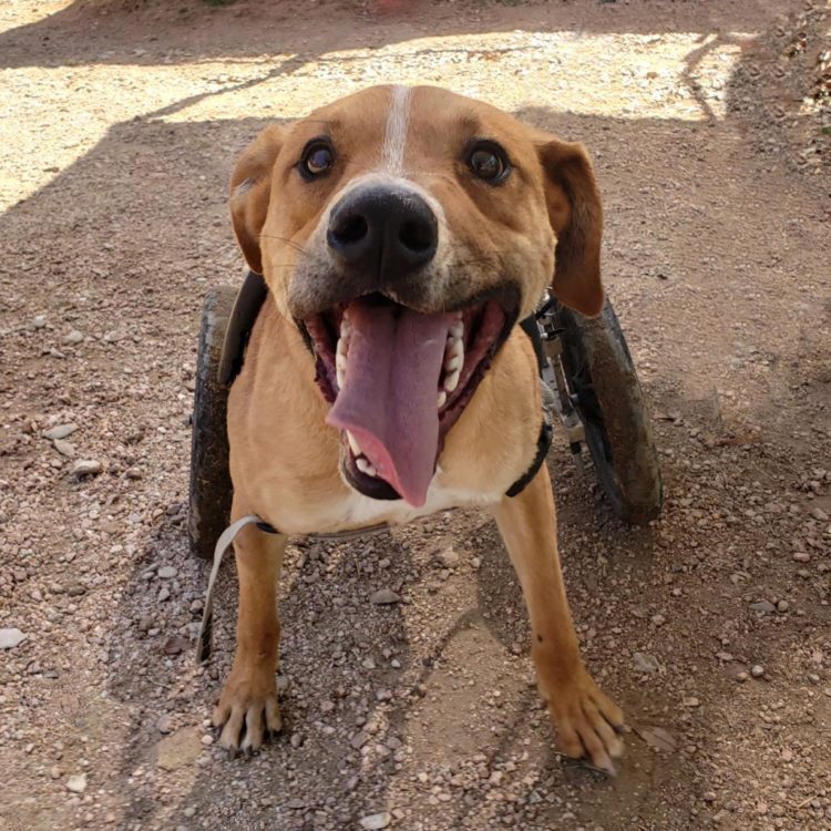 Max