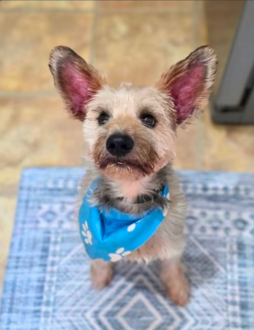 Charlie