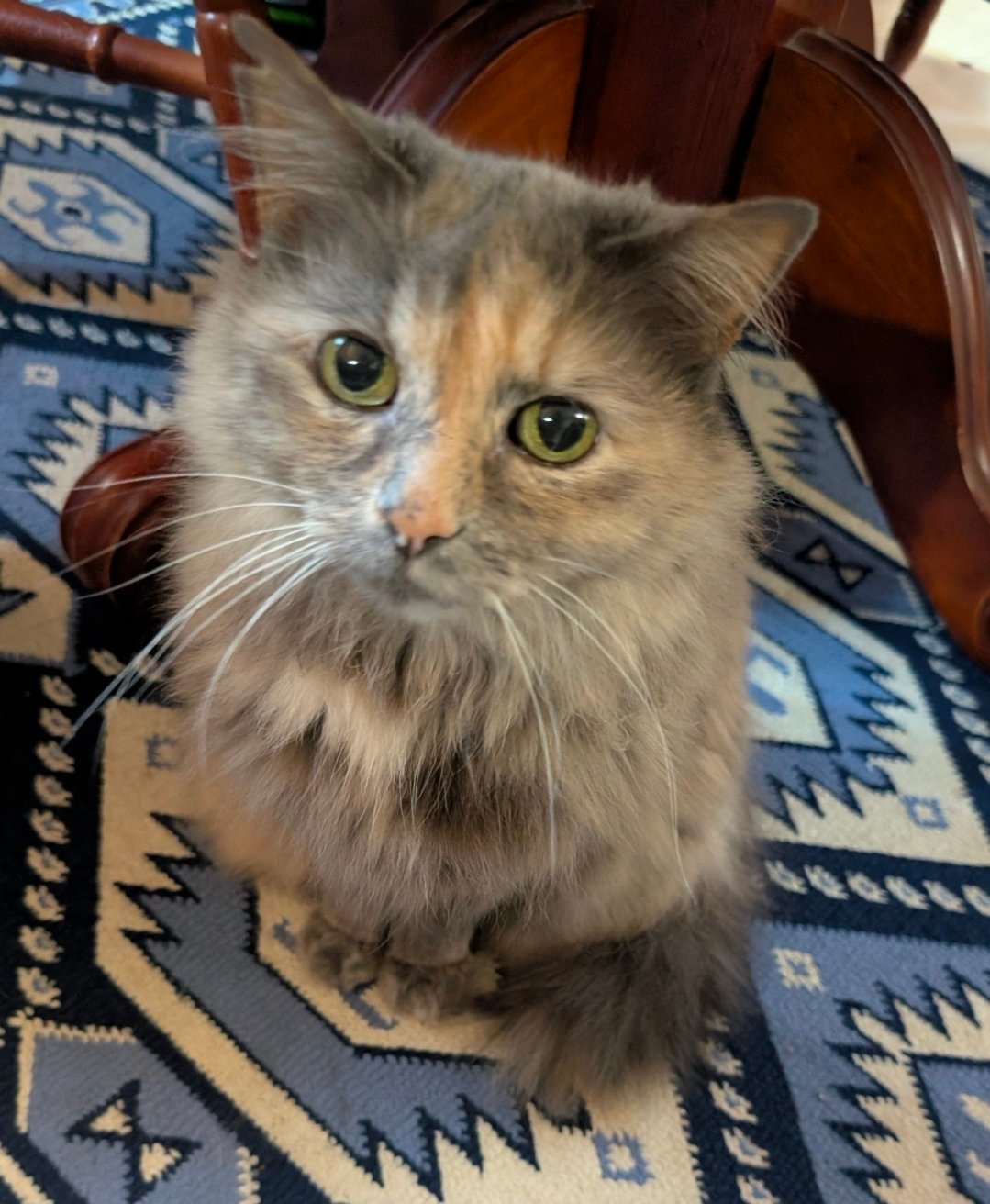 Ellie