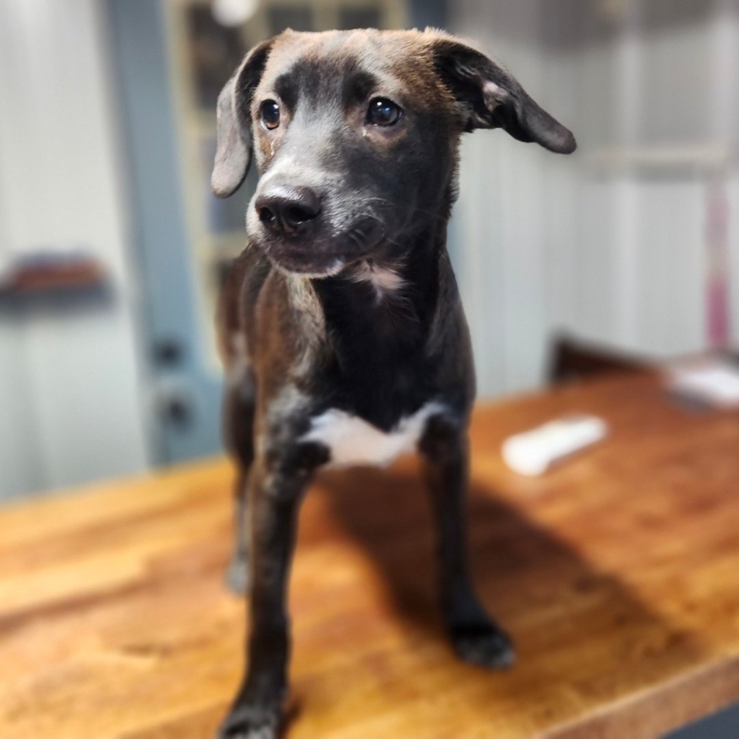 Mia