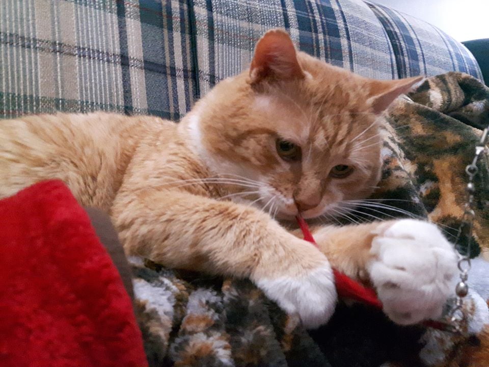 Winnie