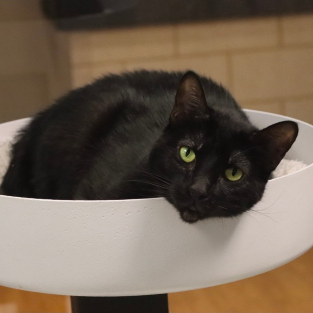 Zoe