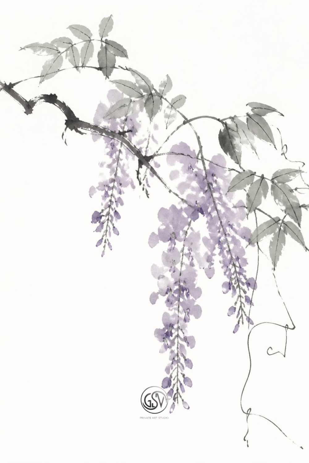 Minimalist ink and watercolor illustration of a wisteria branch with hanging purple flower clusters