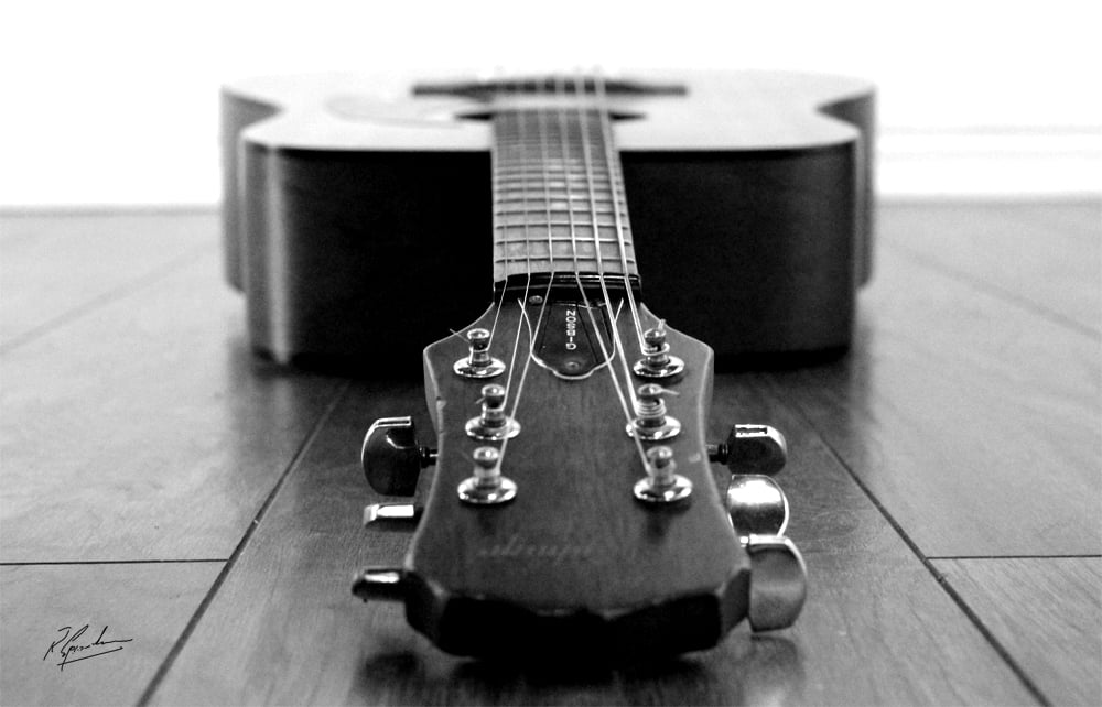 Gibson Guitar musical instrument
