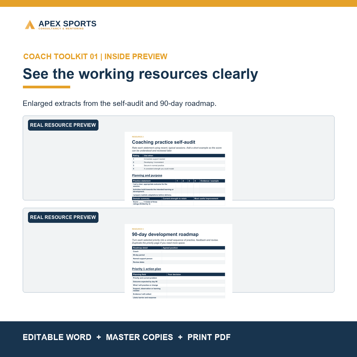 Preview of the coaching practice self-audit and 90-day development roadmap.