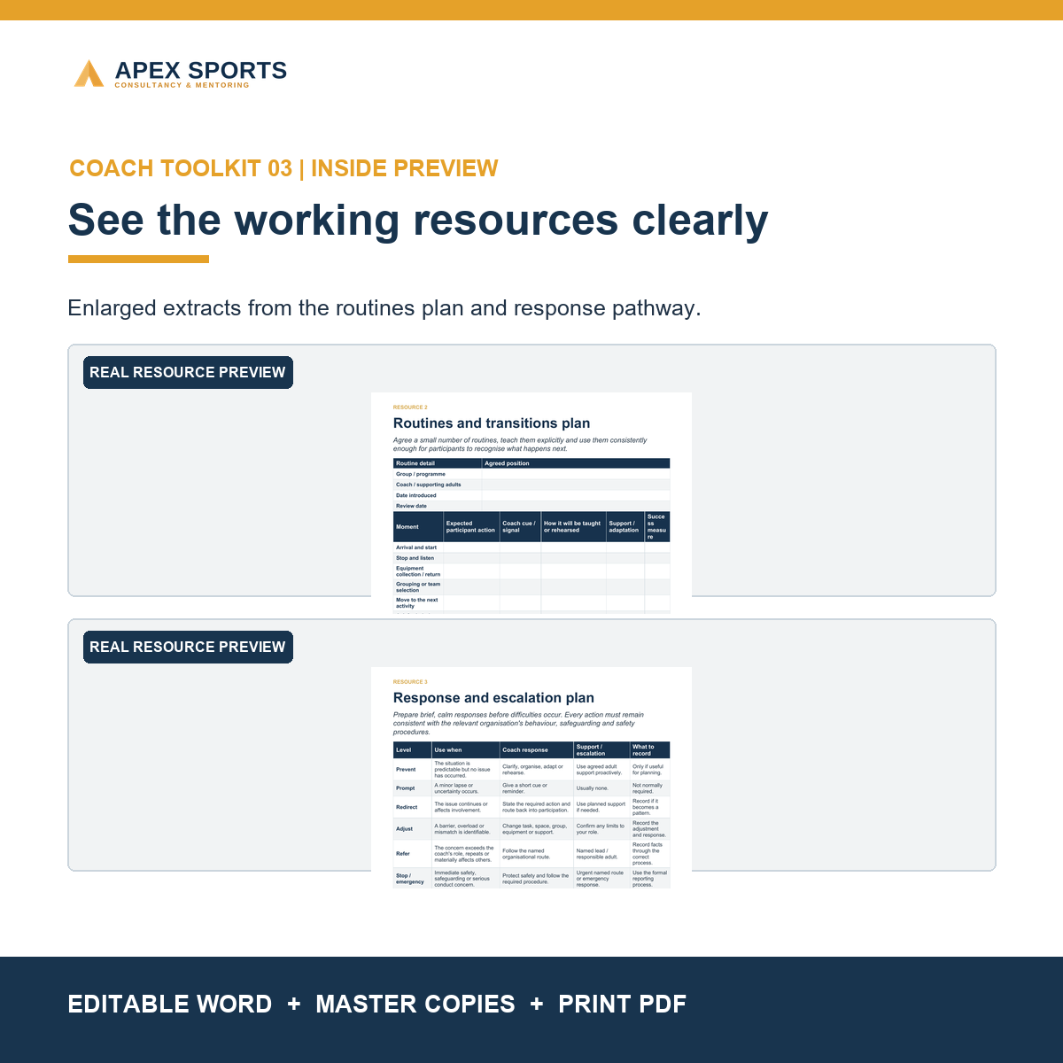 Preview of the routines plan and response pathway inside the APEX behaviour toolkit.