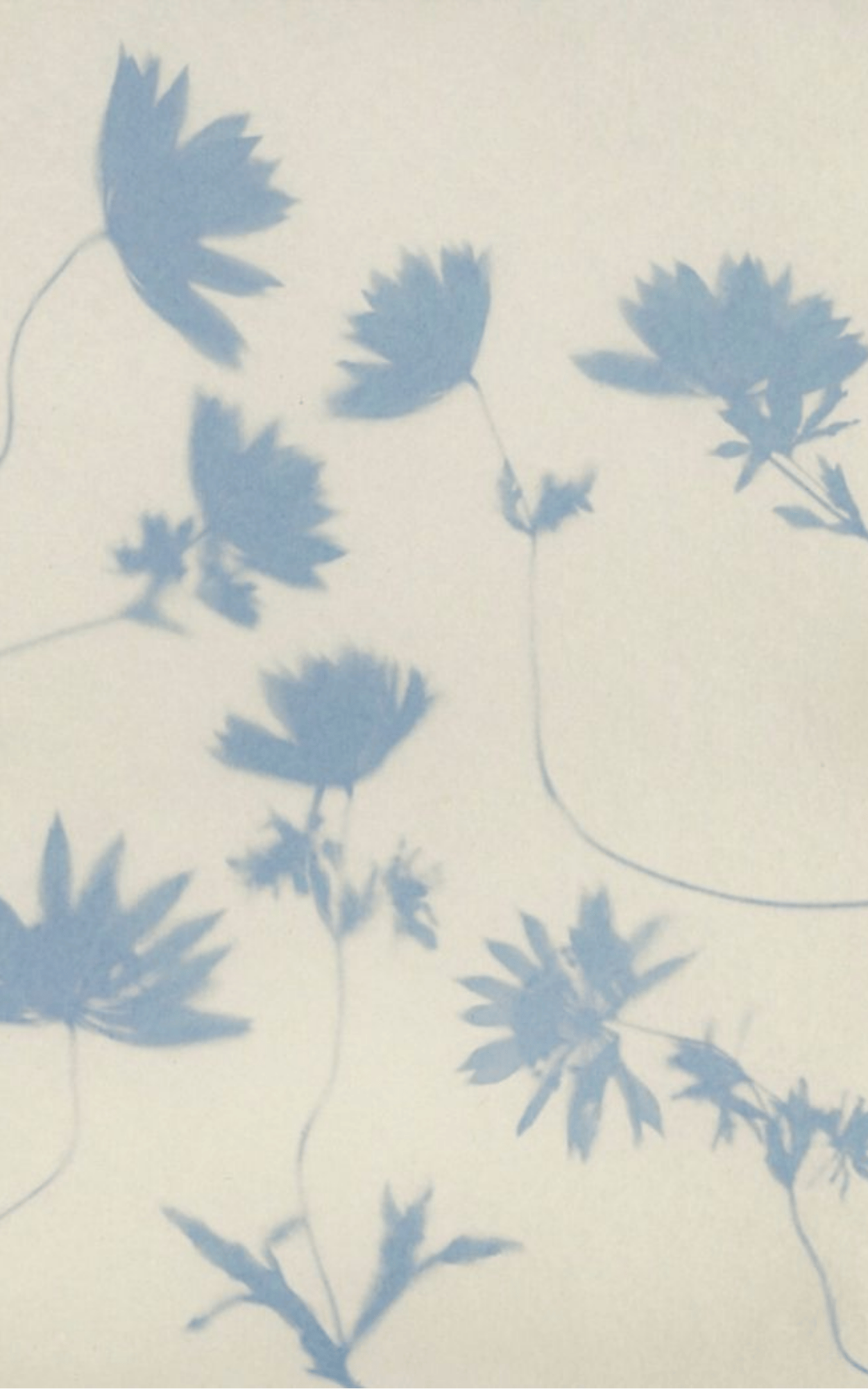 Inside Cover Image, Unnatural Blonde