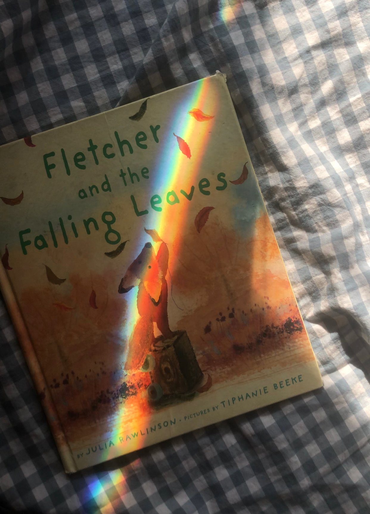Fletcher and the Falling Leaves
