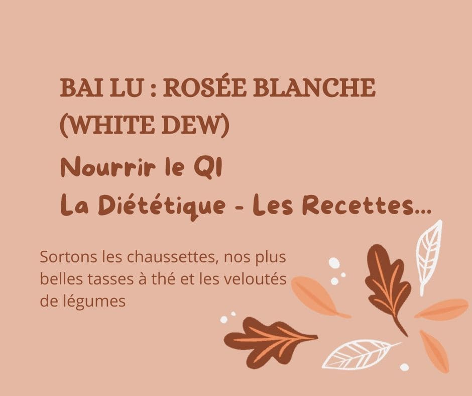 Bai Lu : La Diététique selon la MTC