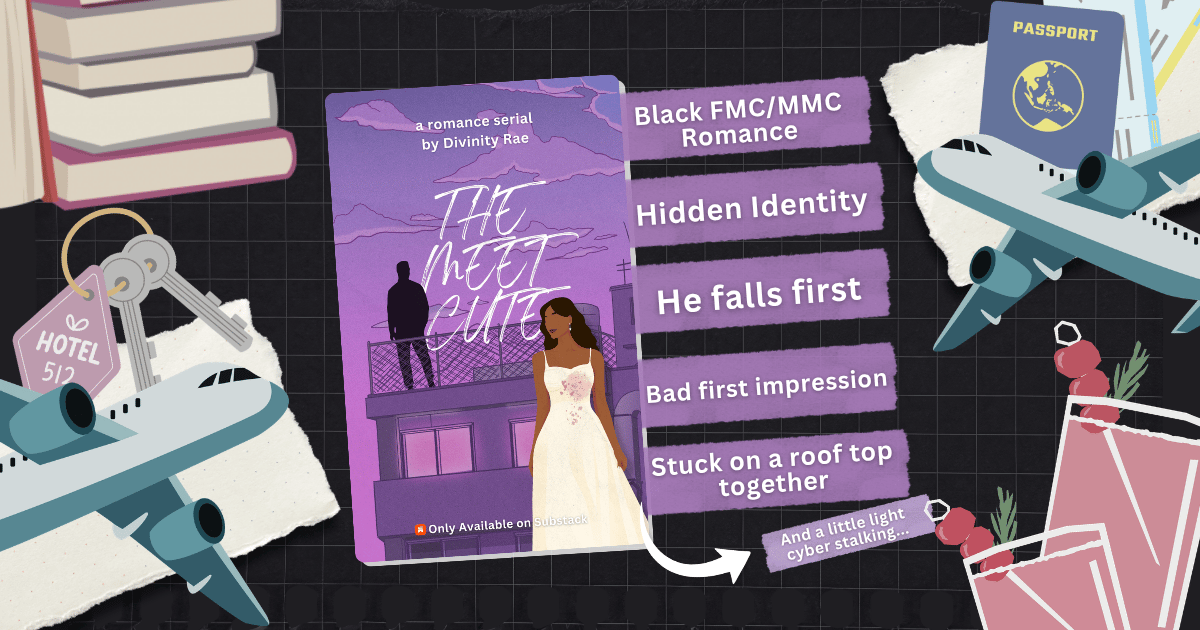 The Meet Cute by Divinity Rae contemporary romance book novella