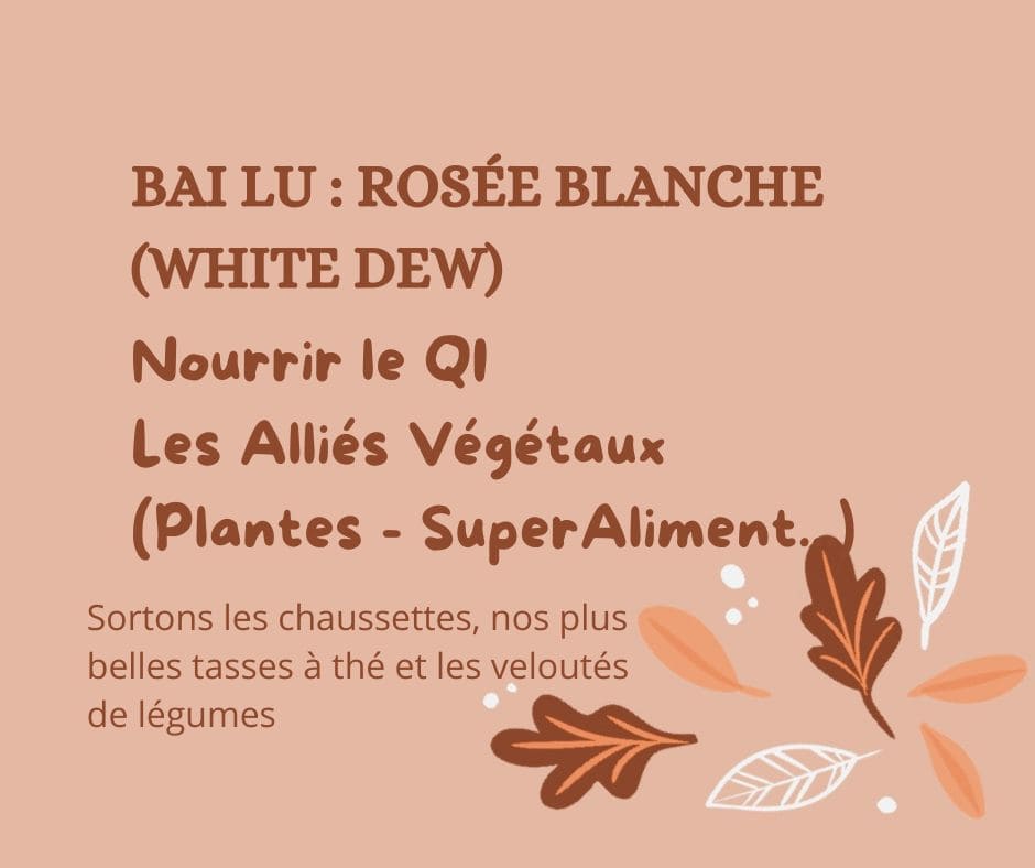 Bai Lu - Les Alliés Végétaux