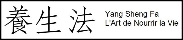 Yang Sheng Fa ou L'Art de NOURRIR la VIE