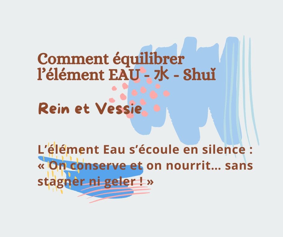 Equilibrez votre ENERGIE EAU (Rein-Vessie)