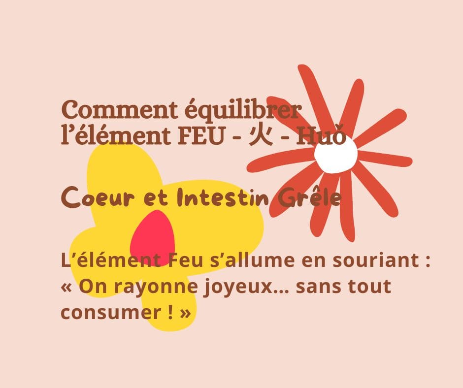 Equilibrez votre ENERGIE FEU (Coeur-Intestin Grêle)