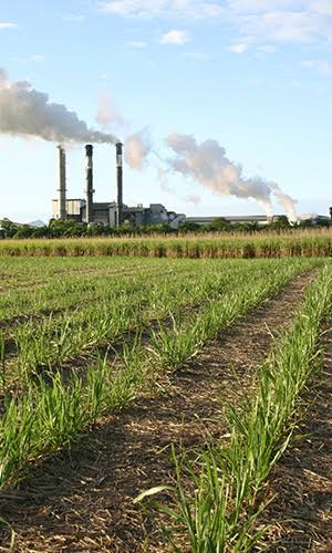 Paddock and smoke coming from the sugar mill