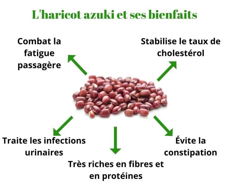 Le Haricot AZUKI - Ses Bienfaits (en MTC)