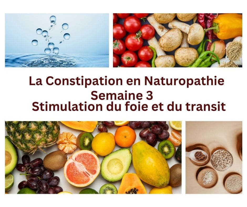 La Constipation en Naturopathie - Semaine 3