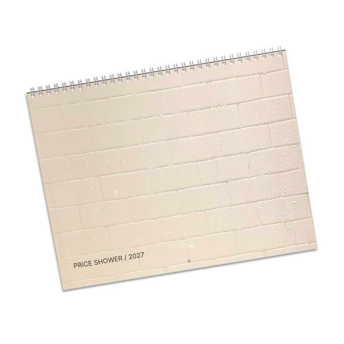PRiCE SHOWER / 2027 wall calendar cover
