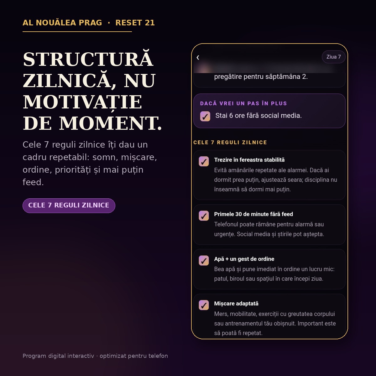 RESET 21 - structură zilnică în 3 etape, cu misiuni, reguli și progres urmărit în program