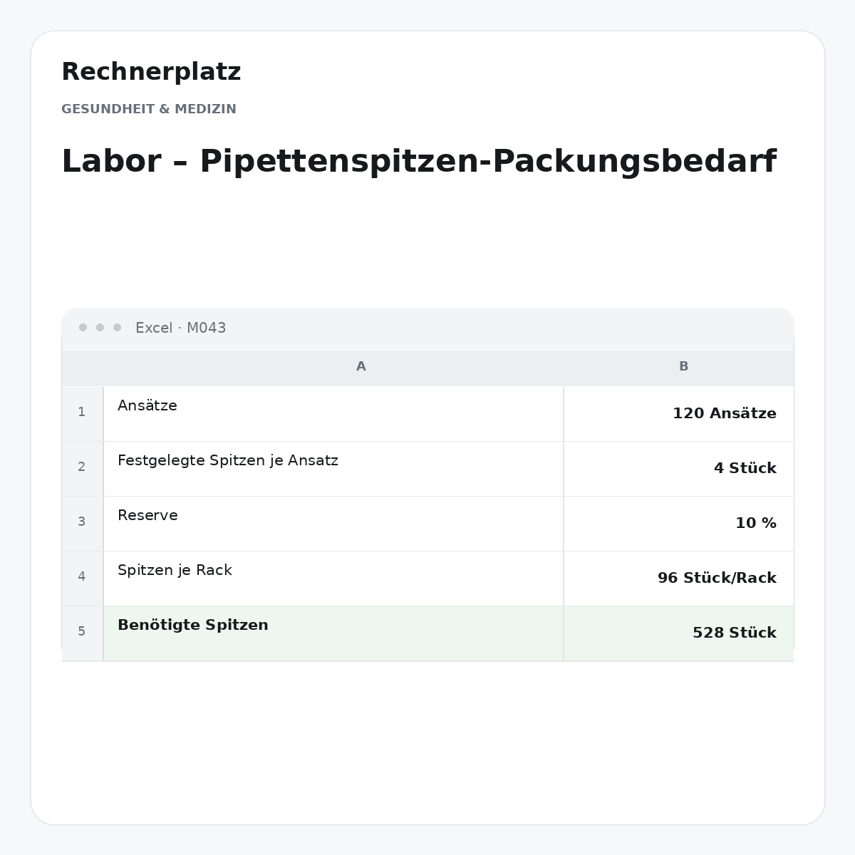 Rechnerplatz – Labor – Pipettenspitzen-Packungsbedarf, Excel-Übersicht mit Eingaben und Ergebnis.