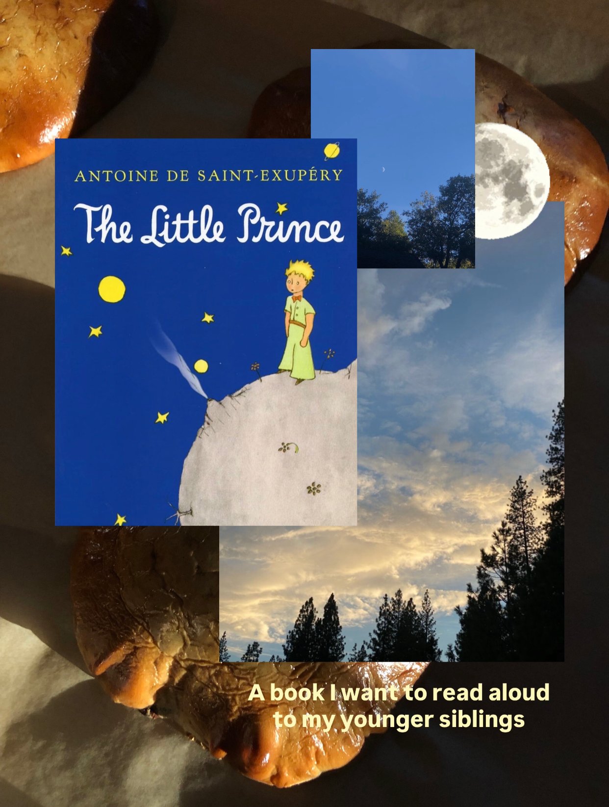 The Little Prince book